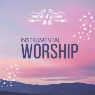 Sound of Praise Instrumental Worship