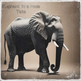 Elephant in the room