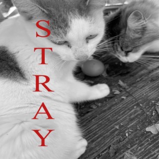 Stray