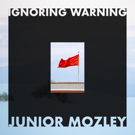 Ignoring Warning | Boomplay Music