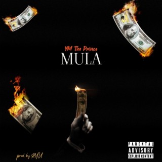 Mula