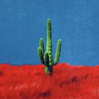 CACTUS B.O.Y.S.