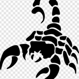 Scorpion Delarosa