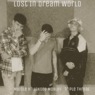 LOST IN DREAM WORLD