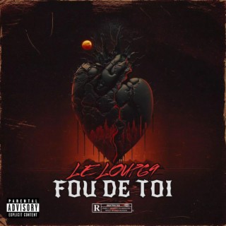 FOU DE TOI