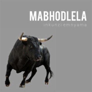 Mabhodlela