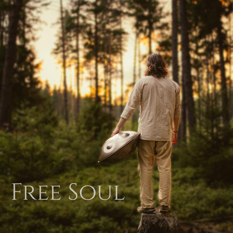 Free Soul ft. MiDN8 | Boomplay Music