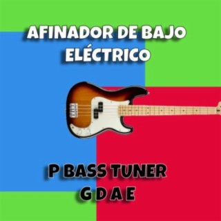 Afinador Bajo P Bass Tuner G D A E