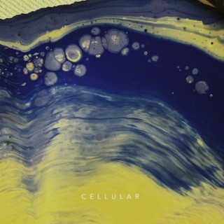 Cellular