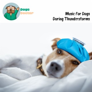 Music for Dogs During Thunderstorms: Calm Sounds, Dog Anxiety, Nerve Healing