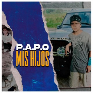 P.A.P.O Mis Hijos