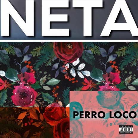 Neta | Boomplay Music