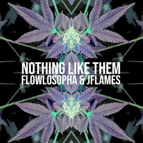 Nothing Like Them ft. Flowlosopha | Boomplay Music