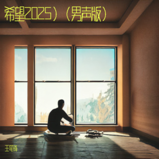 希望2025（真的希望自己是个铁人） lyrics | Boomplay Music