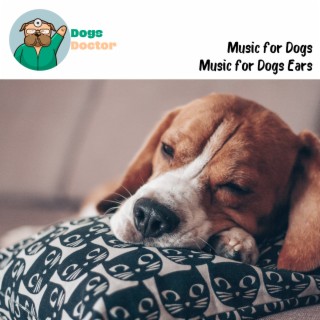 Music for Dogs: Calm Music for Dogs with Anxiety, Pet Relaxation, Music for Dogs Ears