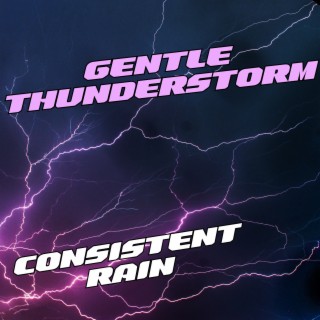 Gentle Thunderstorm: Consistent Rain