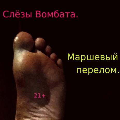 Слёзы Вомбата. - Вилка. MP3 Download & Lyrics | Boomplay