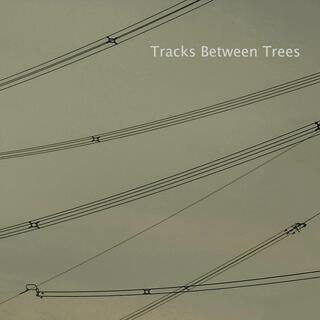 Tracks between Trees