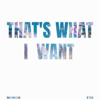 That's What I Want (Instrumental)