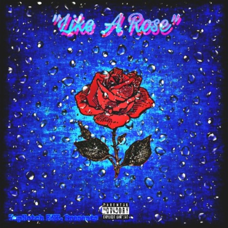 Like A Rose | Boomplay Music