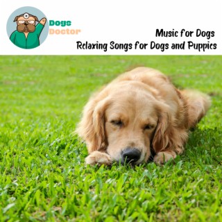 Music for Dogs - Relaxing Songs for Dogs and Puppies