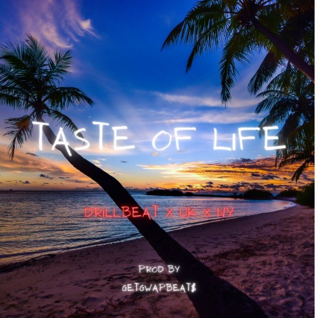 Taste of Life Drillbeat X Uk X Ny | Boomplay Music