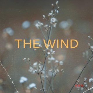 The Wind