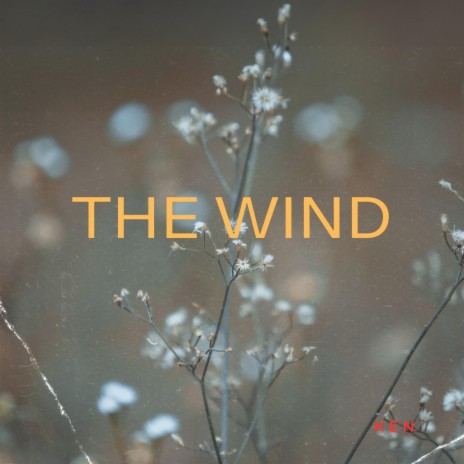 The Wind | Boomplay Music