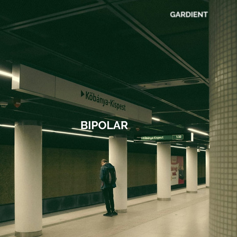 Bipolar | Boomplay Music