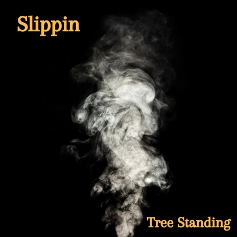 Slippin | Boomplay Music