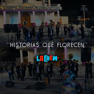 Historias Que Florecen