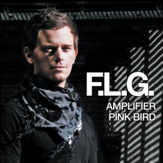 Amplifier / Pink Bird