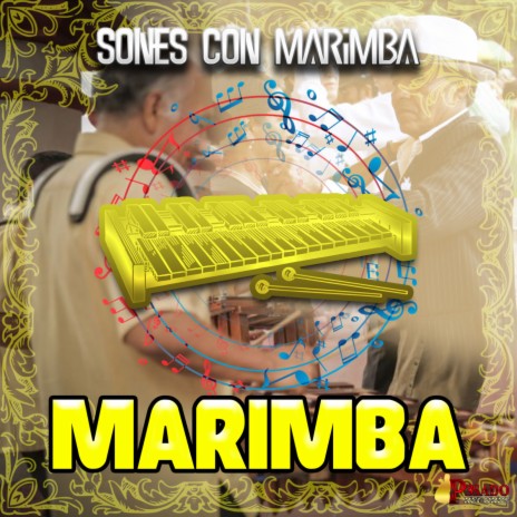 Arriba Pichataro | Boomplay Music