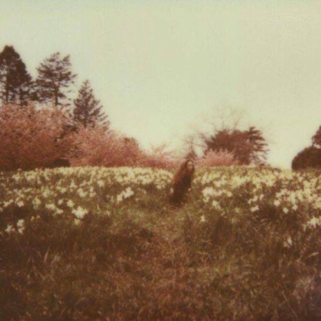 Running through meadows