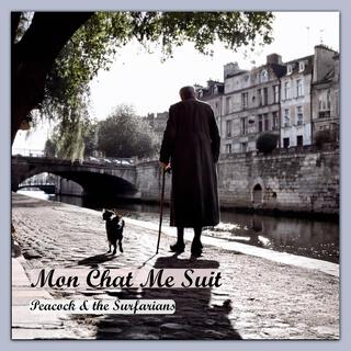 Mon chat me suit ft. The Surfarians lyrics | Boomplay Music