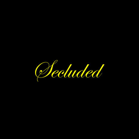 secluded (Instrumental) | Boomplay Music