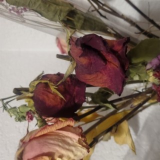 Even roses wilt