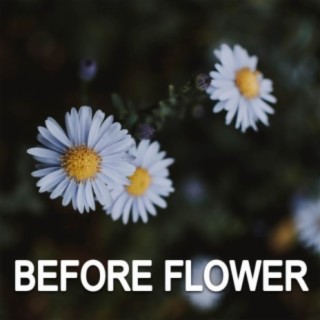 Before Flower