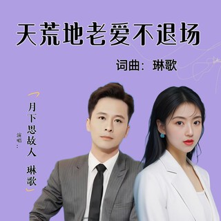 天荒地老爱不退场 （舞曲版）