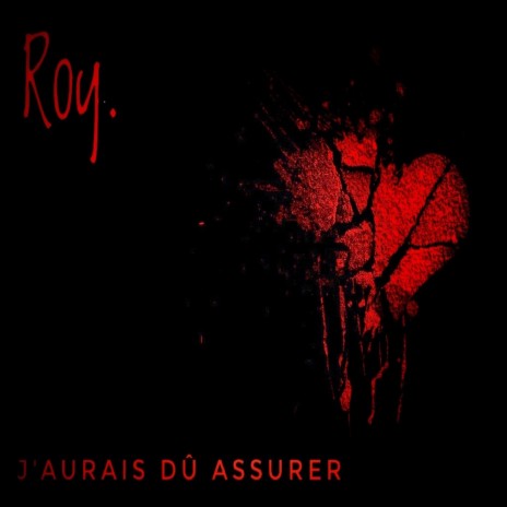 j'aurais du assurer | Boomplay Music