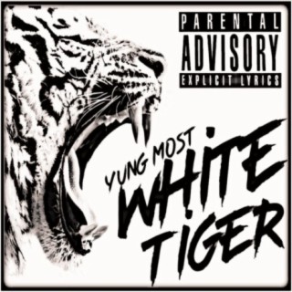 White Tiger