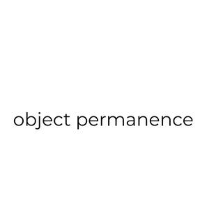 object permanence