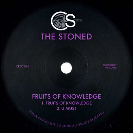 Fruits of Knowledge (Original Mix) | Boomplay Music