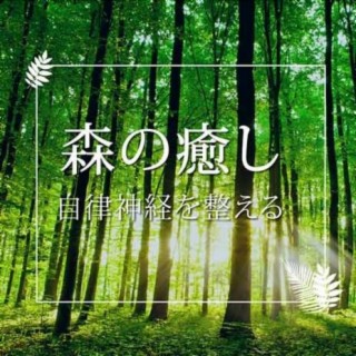 Healing of Forest ~Calm Your Nerves~