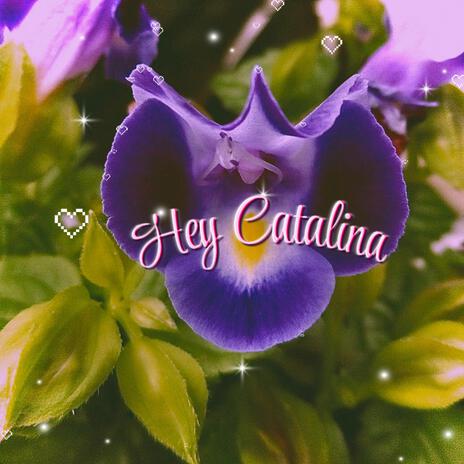 HEY CATALINA | Boomplay Music