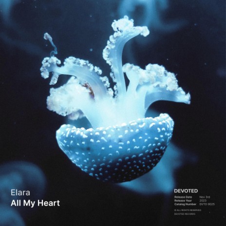 All My Heart | Boomplay Music