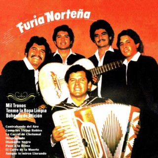 Furia norteña