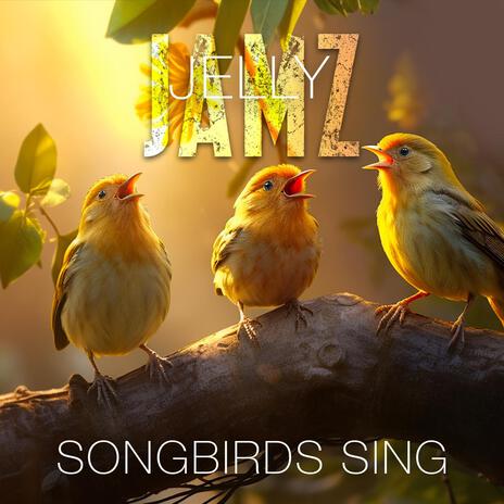 Songbirds Sing | Boomplay Music