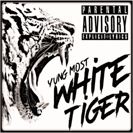 White Tiger | Boomplay Music