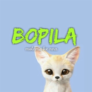 Bopila